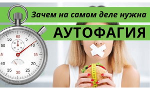 Зачем на самом деле нужна аутофагия?