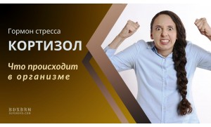 Гормон стресса – кортизол. Что происходит в организме в стрессовой ситуации